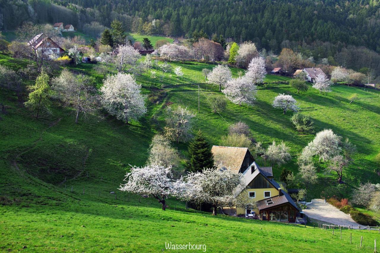 Osenbach Chalet Du Silberrain Pres De Colmar - Cheminee, Sauna, Piscine Partagee מראה חיצוני תמונה