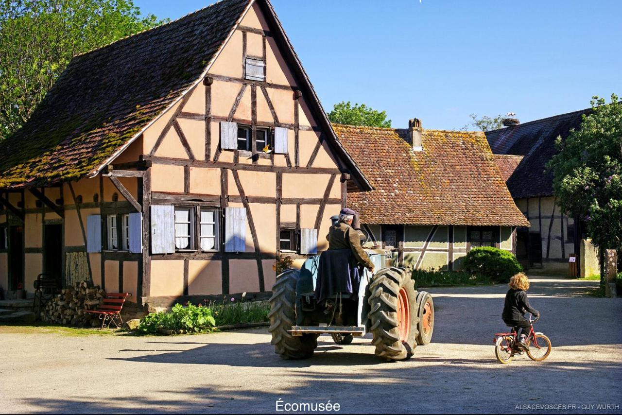 Osenbach Chalet Du Silberrain Pres De Colmar - Cheminee, Sauna, Piscine Partagee מראה חיצוני תמונה