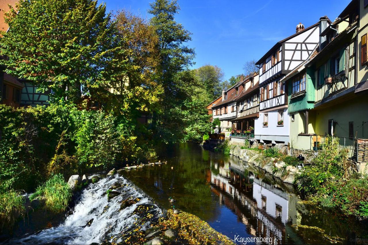 Osenbach Chalet Du Silberrain Pres De Colmar - Cheminee, Sauna, Piscine Partagee מראה חיצוני תמונה